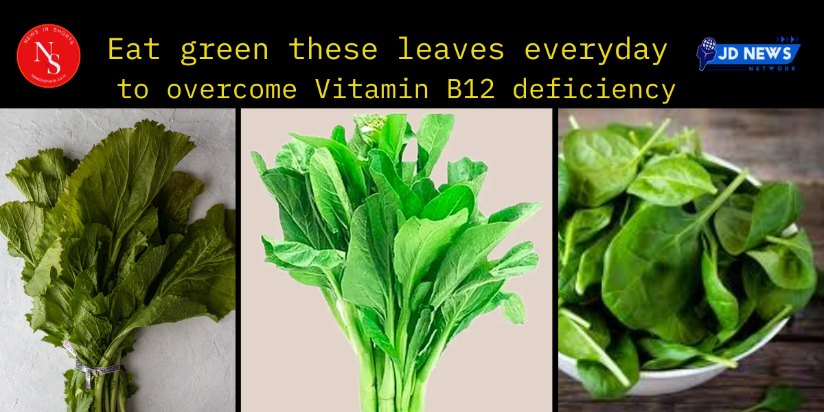 Eat green leaves everyday to overcome Vitamin B12 deficiency