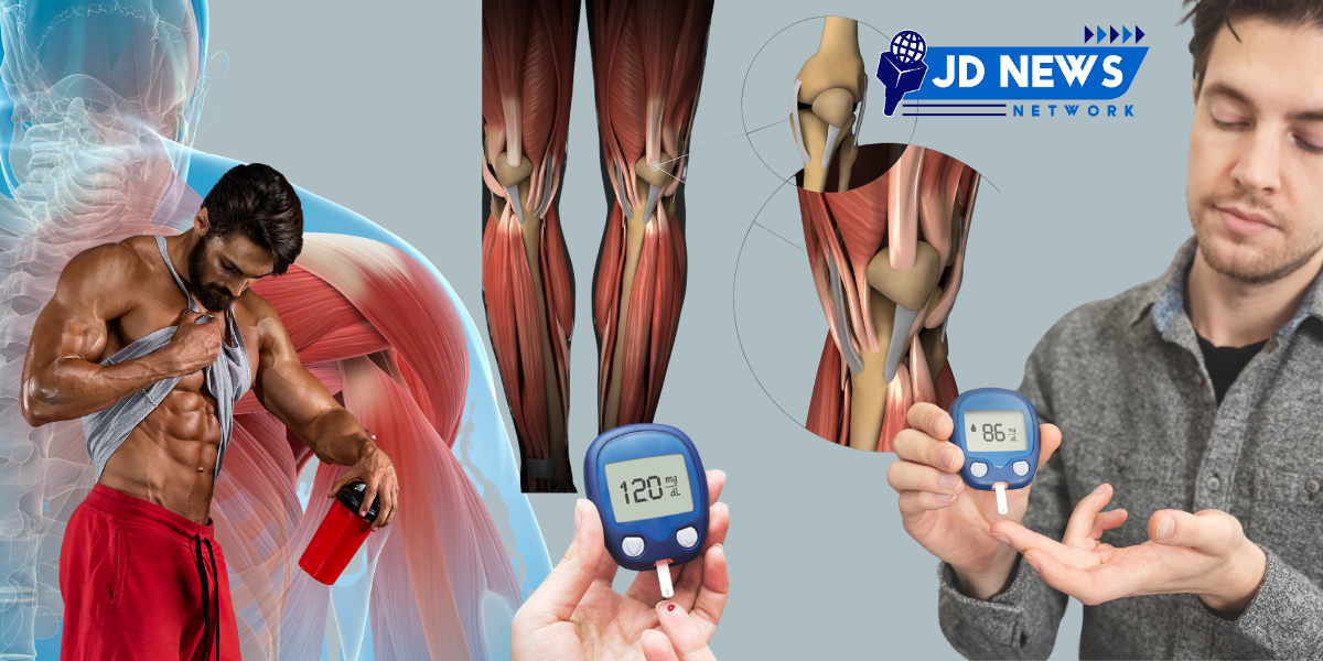 Increasing muscle strength can reduce the risk of type 2 diabetes