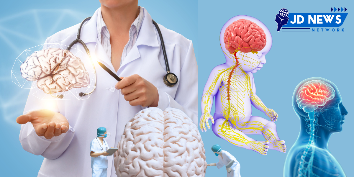 What is white matter and its importance in brain development